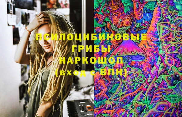 ГАЛЛЮЦИНОГЕННЫЕ ГРИБЫ Покровск