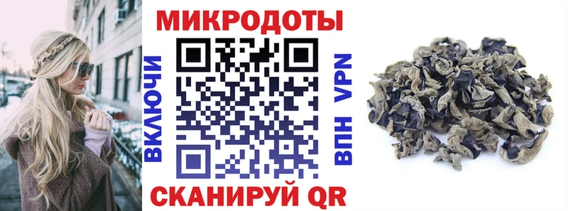 Галлюциногенные грибы Psilocybe  Заволжье 